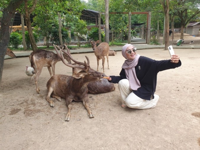 The Bentong Farm Durian Fantastic
